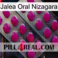 Nizagara Oral Jelly 10